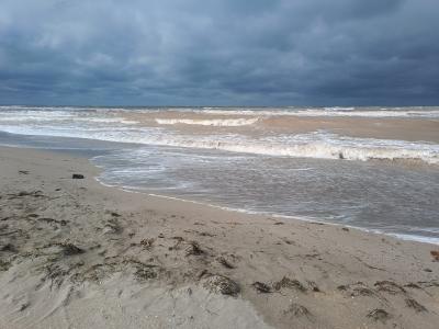 Прикрепленное изображение: Resizer_16808959886705.jpeg